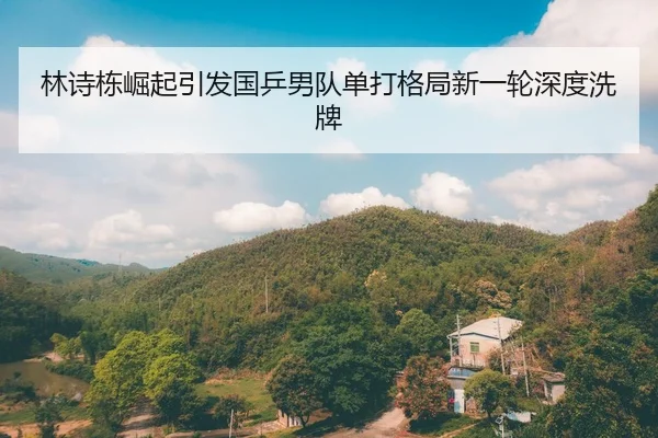 林诗栋崛起引发国乒男队单打格局新一轮深度洗牌